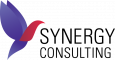 SINERGY CONSULTING